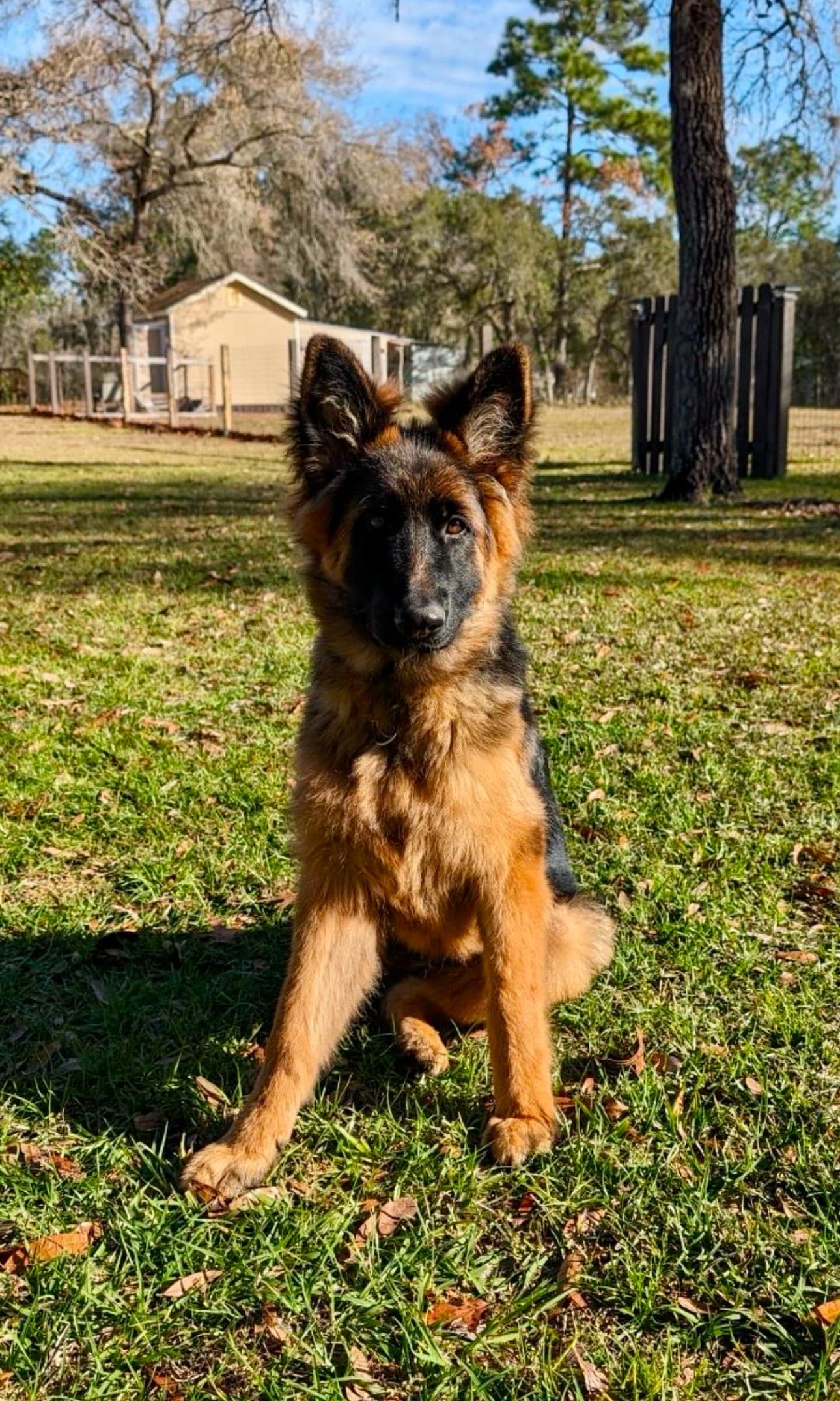 Advanced training techniques