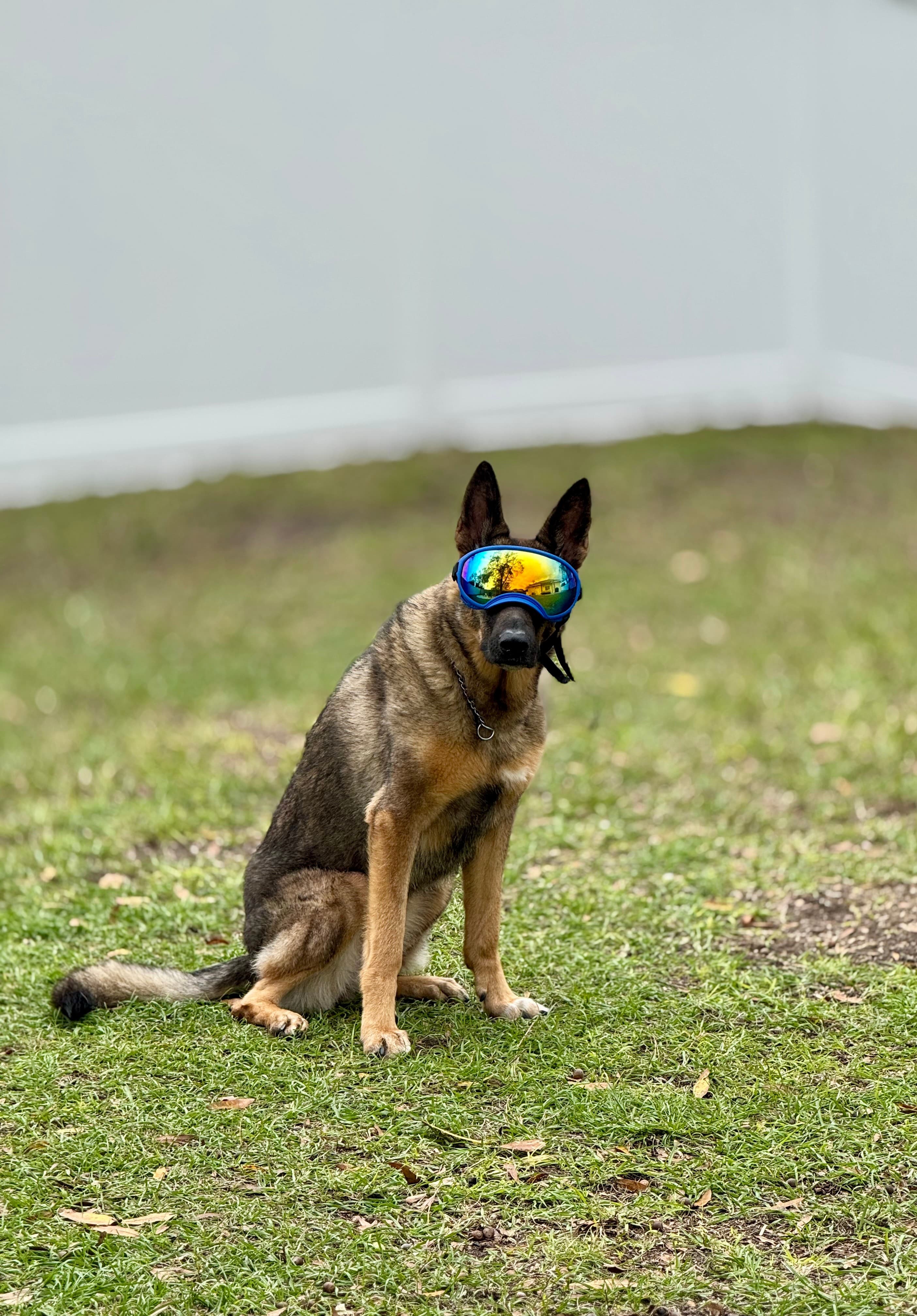 Training graduation ceremony