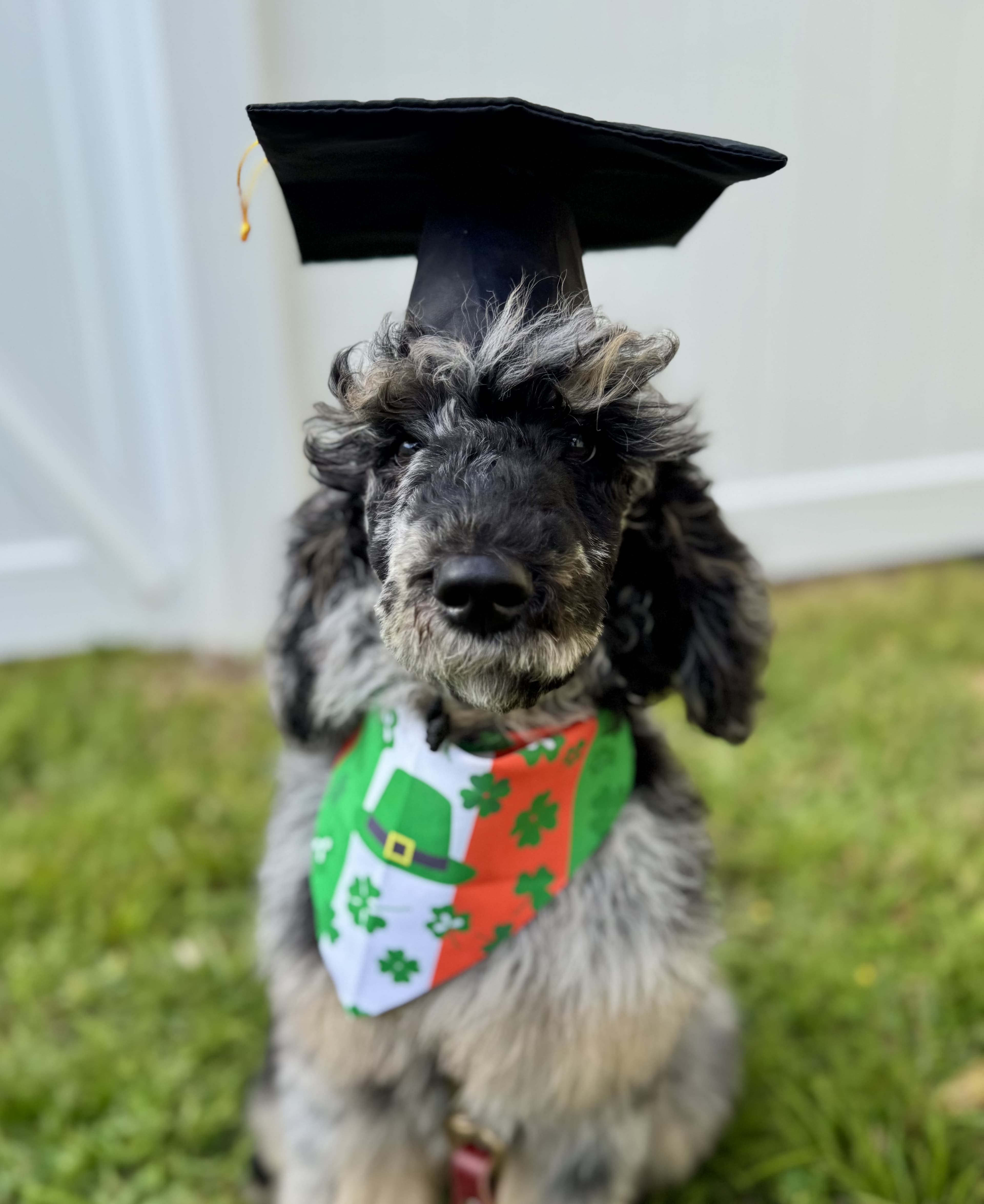 Behavioral training breakthrough