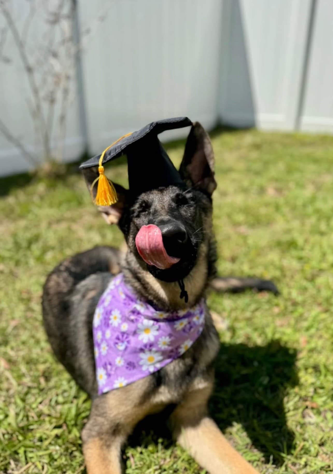 Training success achievement