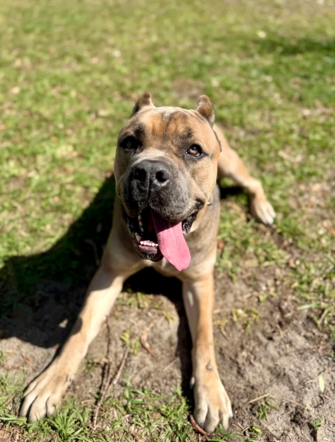 Professional training session