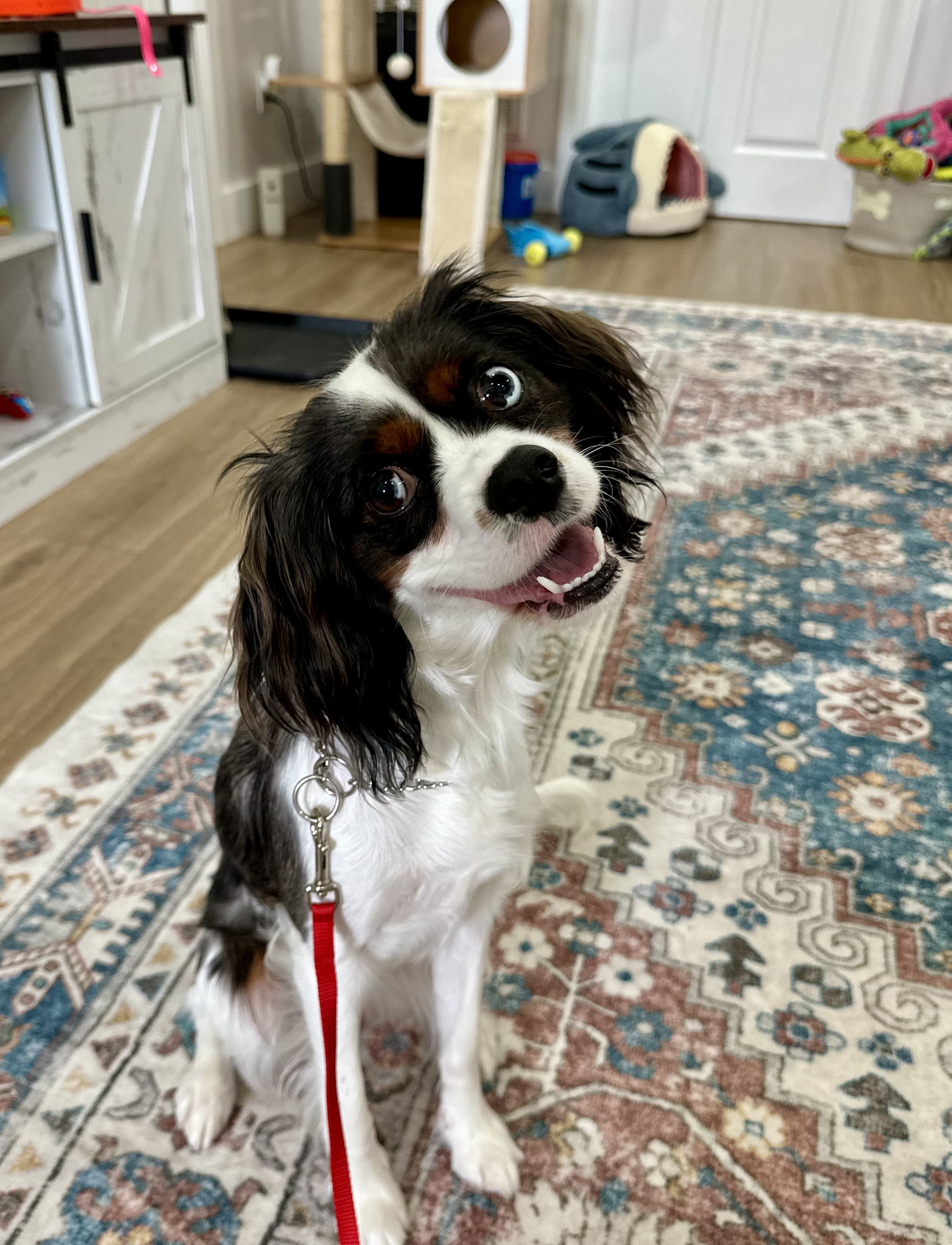 Behavioral modification work