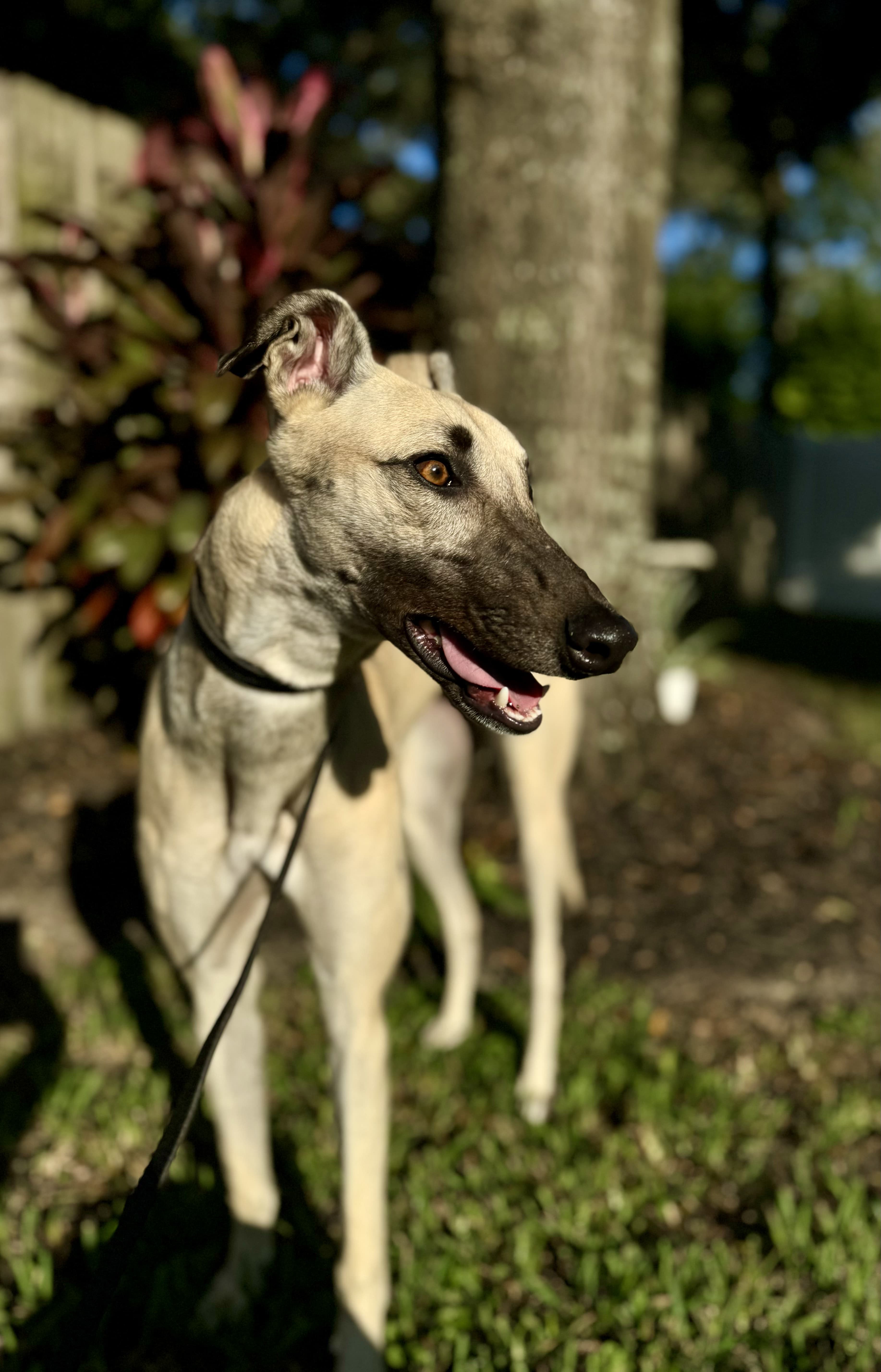 Training achievement moment